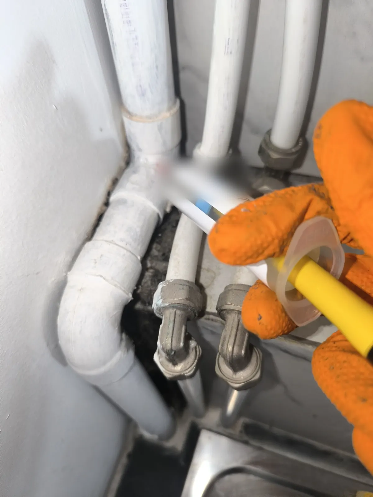 Fourmis dans un logement : pourquoi traiter l’intérieur et l’extérieur ? Application de gel anti-fourmis par Rikalia Safe dans un logement