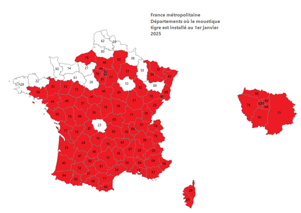 Carte officielle de présence du moustique tigre en France début 2025