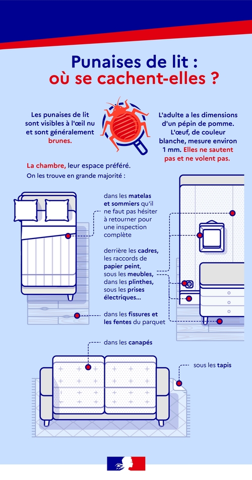 Punaises de lit : où se cachent-elles — Stop Punaises Flyer officiel sur les punaises de lit : où se cachent-elles dans le logement
