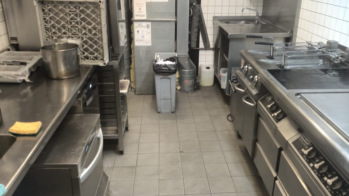 Cuisine professionnelle contrôlée pour prévenir rats, cafards et autres nuisibles