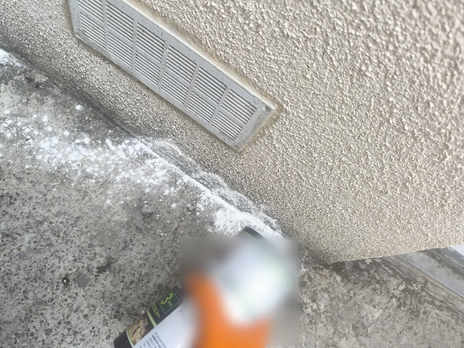 Traitement professionnel contre les fourmis autour d’un logement