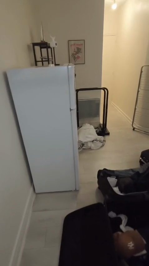 Comment préparer son logement avant un traitement professionnel contre les punaises de lit ?